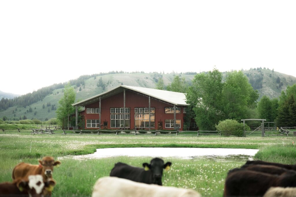 barn at diamond cross ranch