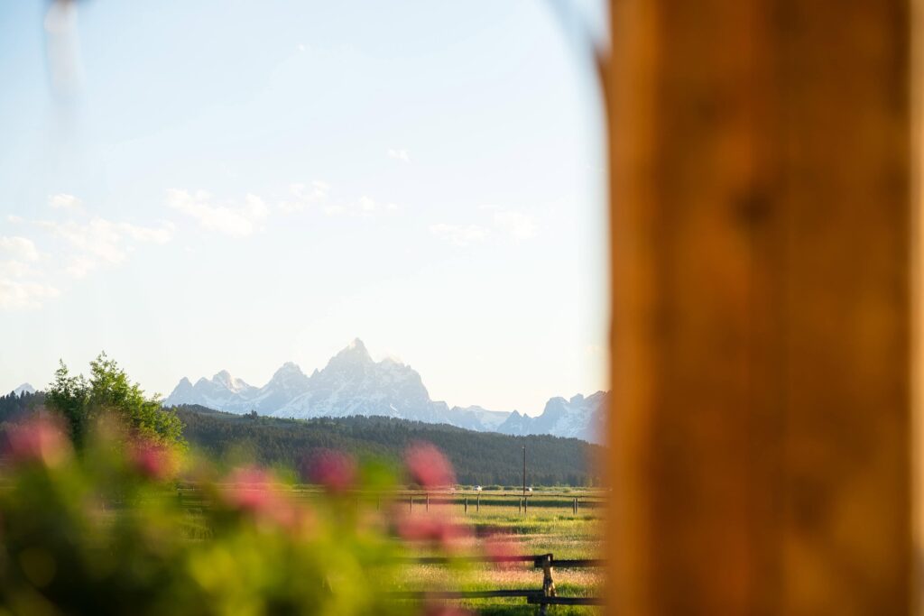 view of the grand tetons from diamond cross ranch