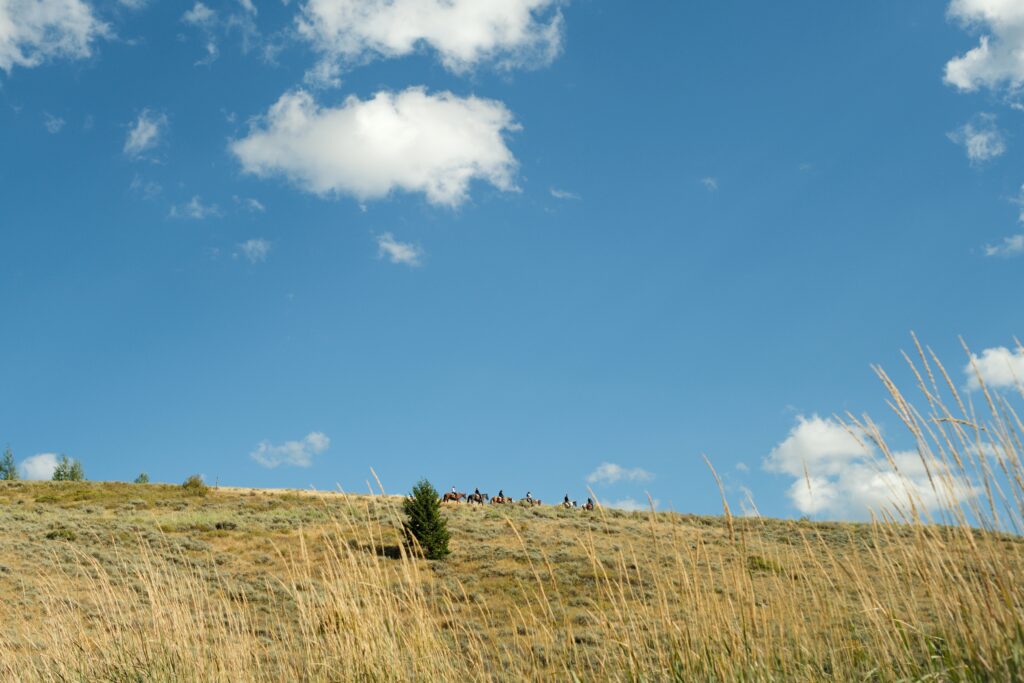 horseback riding on amangani property