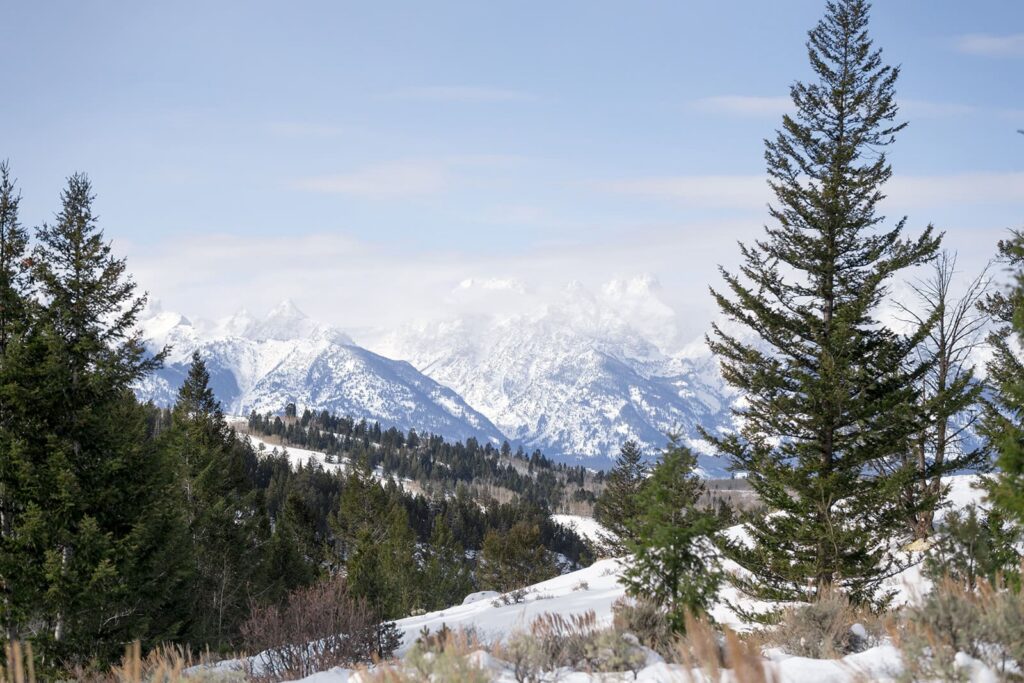 View of the Grand Tetons from the Wedding tree in Kelly, Wyoming